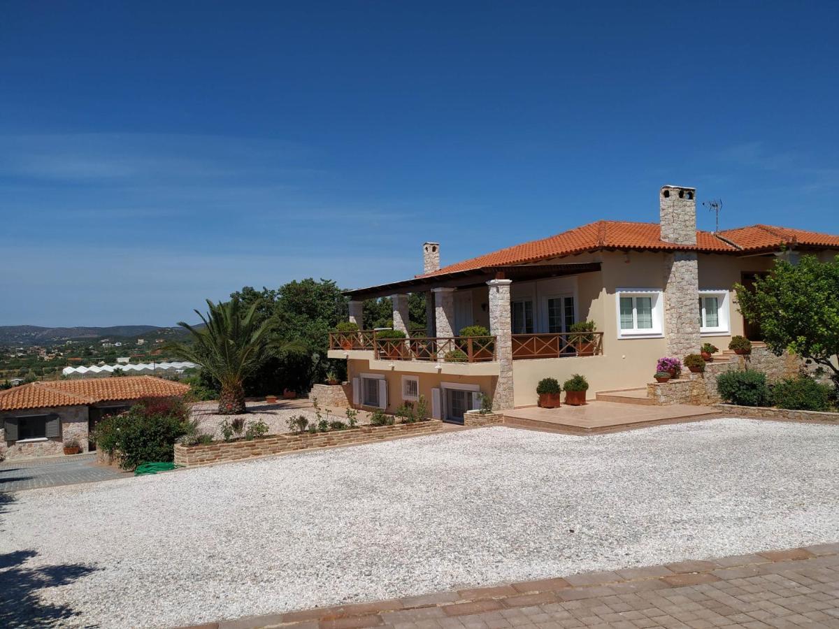 Villa Vena Palaia Fokaia Exterior foto