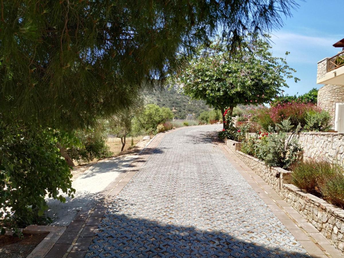 Villa Vena Palaia Fokaia Exterior foto