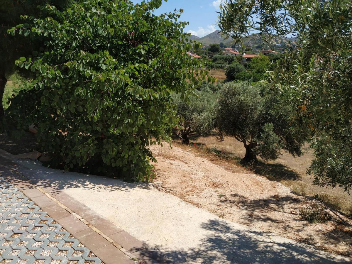 Villa Vena Palaia Fokaia Exterior foto
