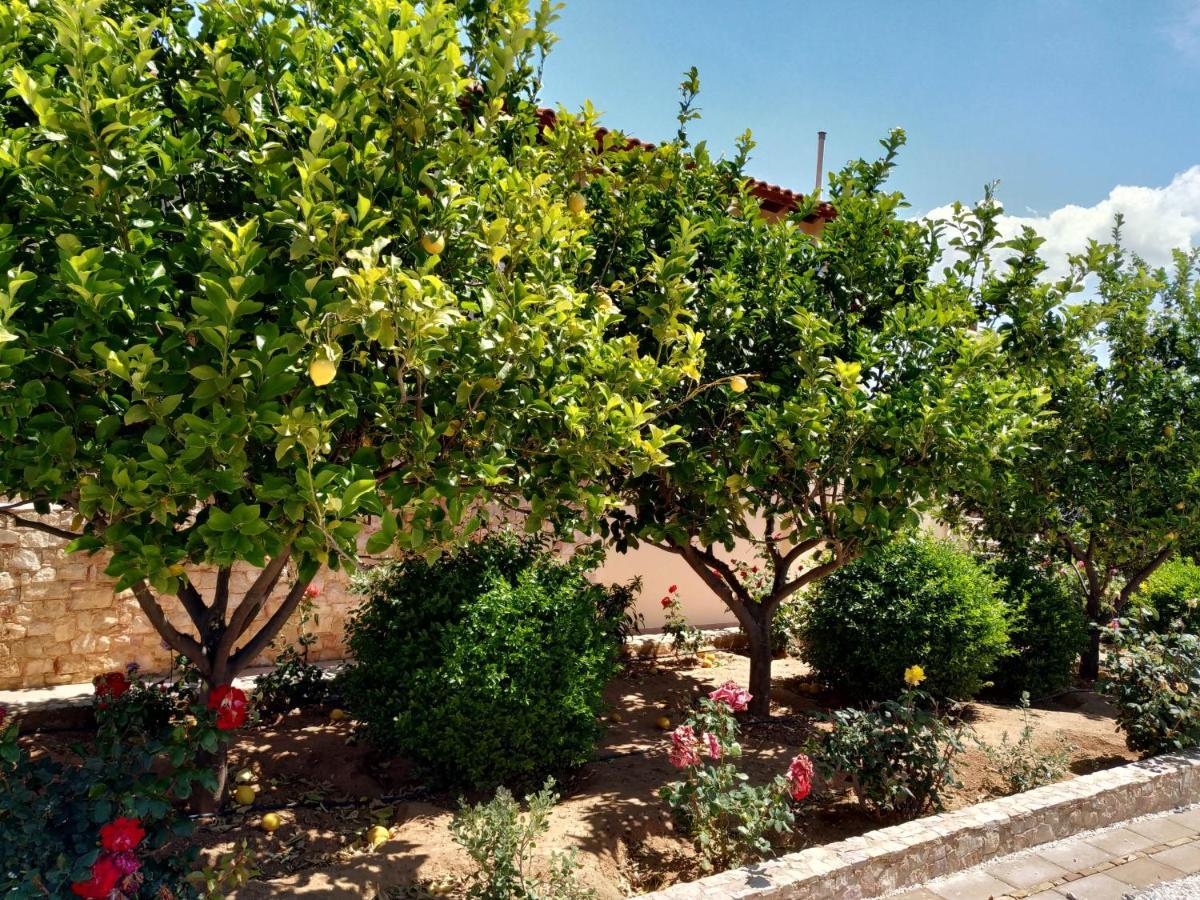 Villa Vena Palaia Fokaia Exterior foto