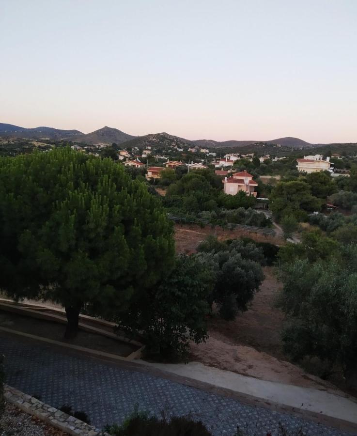 Villa Vena Palaia Fokaia Exterior foto