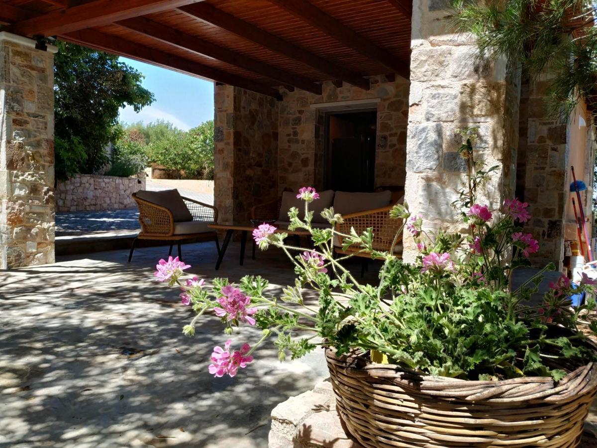 Villa Vena Palaia Fokaia Exterior foto